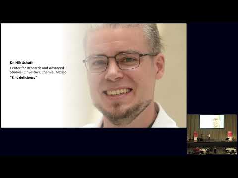 Dr. Nils Schuth, Center for Research and Advanced Studies (Cinvestav), Chemie, Mexico - 